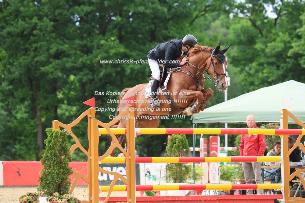 Preview nick armbruster mit isodermus p IMG_1849.jpg